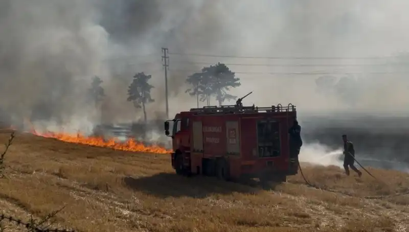 Kırklareli'nde Anız Yangını: Korkutucu Gelişmeler ve Önlemler