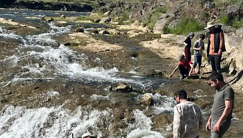 İnci Kefali Göçü: Doğanın Harikası Binlerce Turisti Kendine Çekiyor