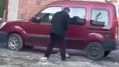 Sokakta Köpeğe Uygulanan Şiddet Gözleri Doldurdu: Hayvan Hakları Savunucuları Tepkili