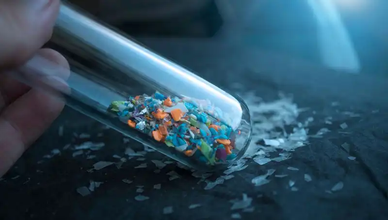 Mikroplastiklerin Beyin Üzerindeki Gizemli Etkileri: Bilimsel Veriler Neler Gösteriyor?