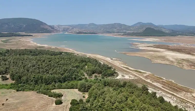 İzmir'de İnanılmaz Düşüş: Bu Yıl Tehlike Çanları Çalıyor Ancak...
