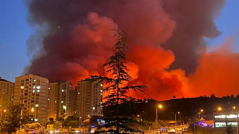 Bursa'da Yangın Alarmı: Şehirde Birden Fazla Yer Alev Alev!