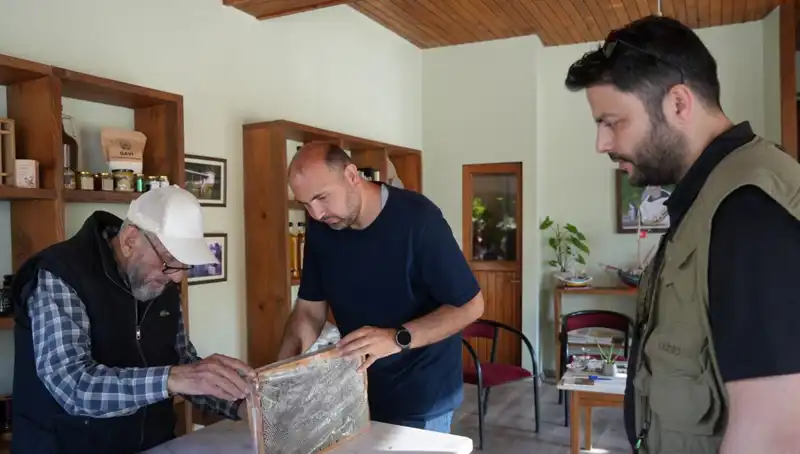 Hem Şifa Hem de Zehir: 1 Çay Kaşığı Kuralı