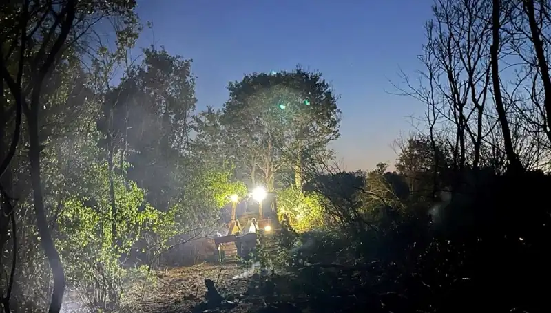 Edirne'deki Orman Yangını Sonunda Kontrol Altına Alındı: Detaylar Burada!