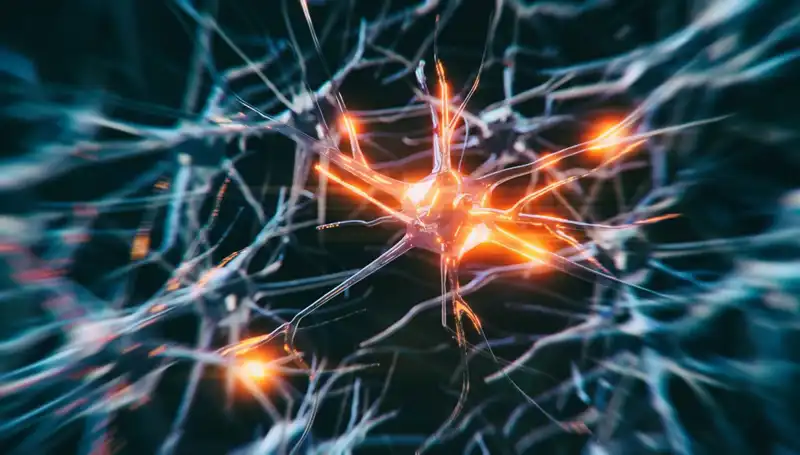 Alzheimer Vakalarındaki Artışın Sebepleri: Bilimsel Gözlemler ve Gelecek Tahminleri