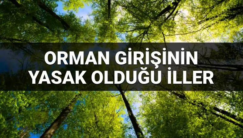 2025 Yılı İtibarıyla Ormana Girişin Yasaklandığı İller Hangileri?