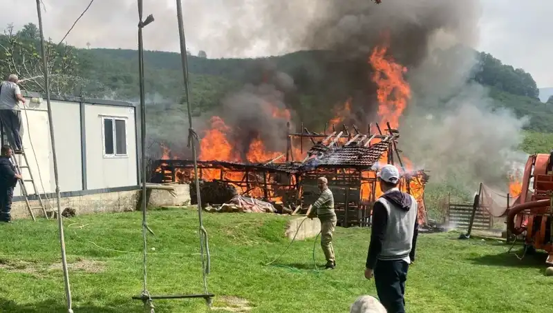 Akçakoca'da Korkutan Yangın: Samanlık Alev Alev Yandı