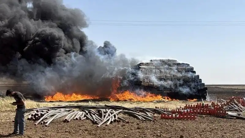 Mardin'de Anız Yangını: Tarım Alanlarında Büyüyen Tehlike!