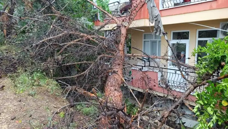 Yağmur Sonrası Dayanılmaz Devirme: Bina Çöktü ve Gözler Büyüledi